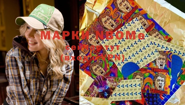 гашик Алзамай